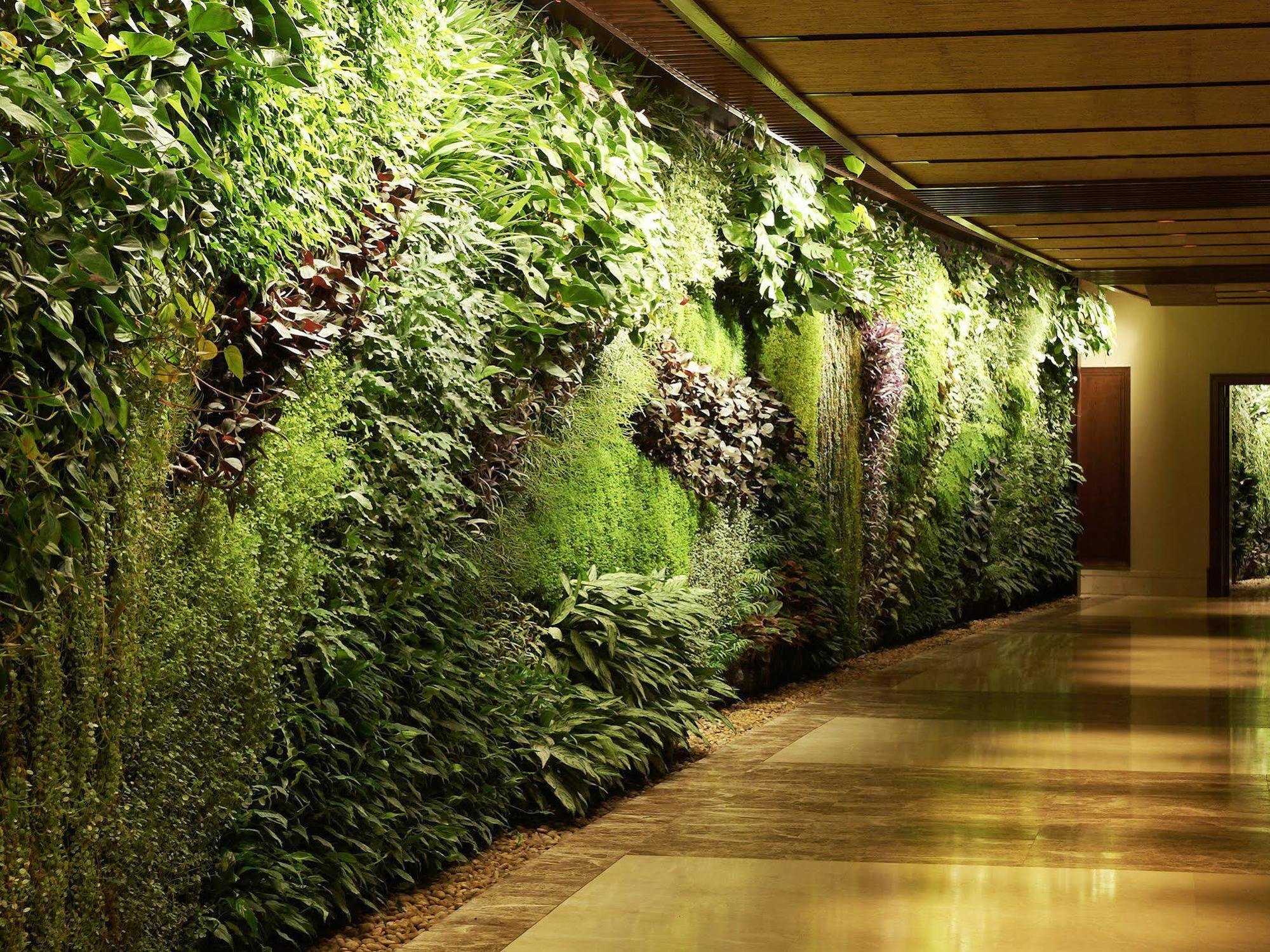 Sofitel Dubai Palm Apartments Buitenkant foto A living wall at the Wynn Las Vegas